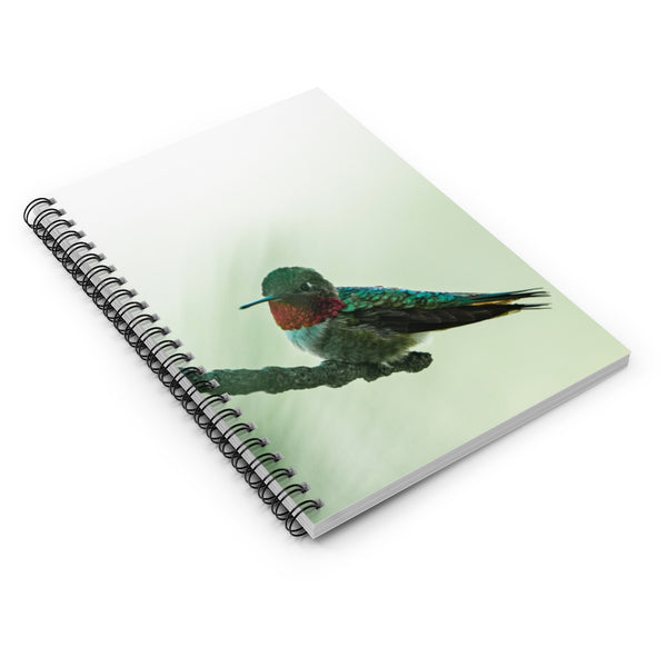Broad-tailed Humming Bird - Spiral Notebook - Ruled Line
