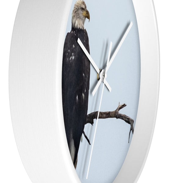 Great American Eagle Watching the Time on the clock