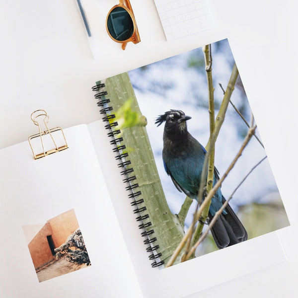 Steller's Jay Overseeing Our Lunch - Spiral Notebook