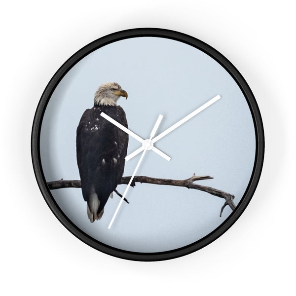 Great American Eagle Watching the Time on the clock