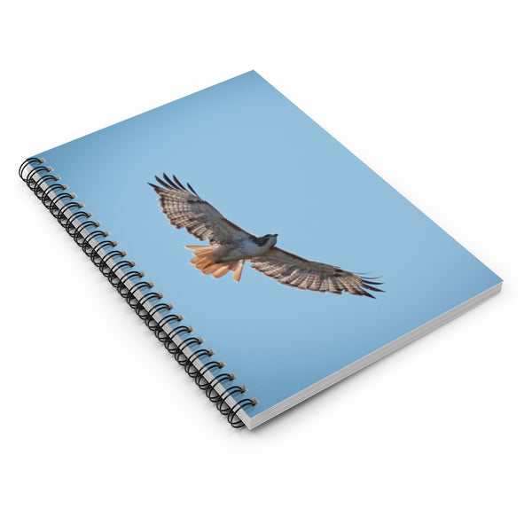 Hawk Soaring - Spiral Notebook