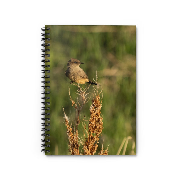 Western Kingbird - Spiral Notebook