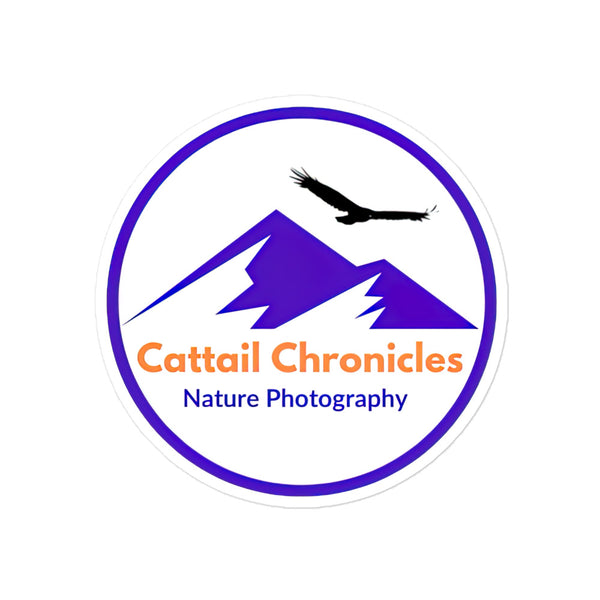 Cattail Chronicles Stickers!!