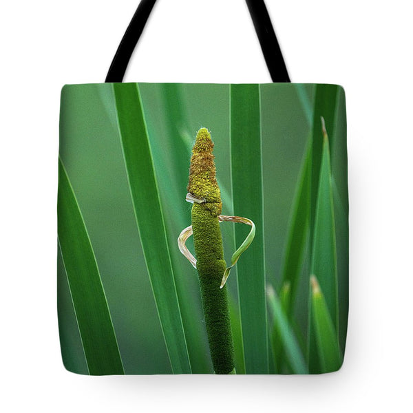 Little Guy in the Cattails - Tote Bag