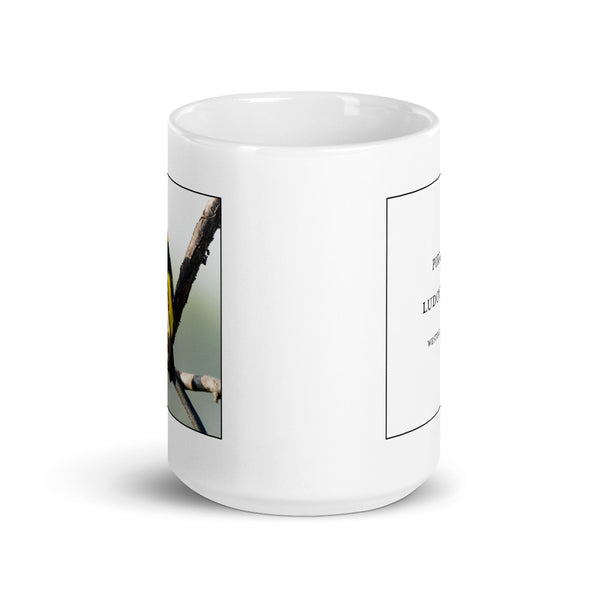 Scientific Name Style Mug - Western Tanager