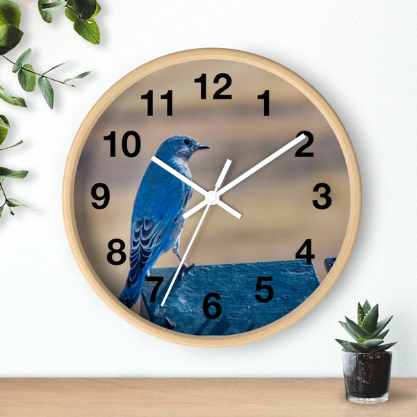 Mountain Bluebird Wall clock