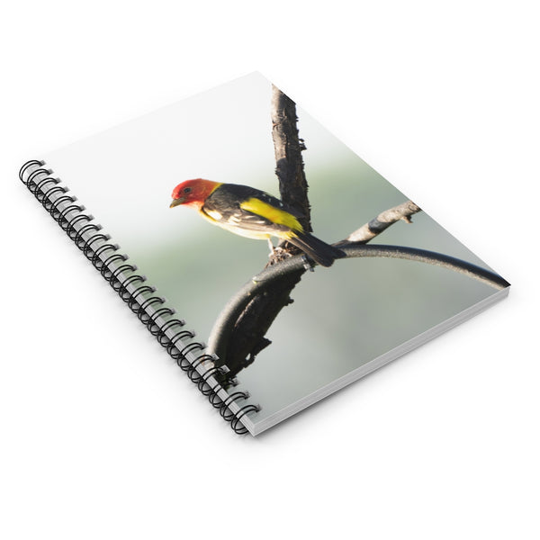 Western Tanager - Spiral Notebook