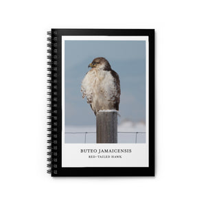 Scientific Name Style - Red-Tailed Hawk - Spiral Notebook