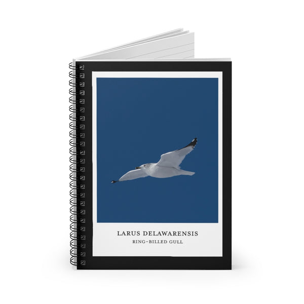 Scientific Name Style - Ring-Billed Gull - Spiral Notebook