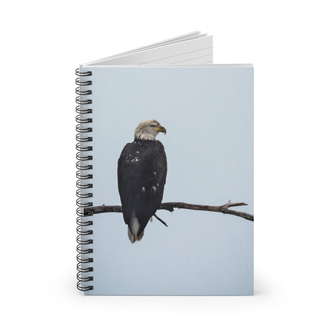Bald Eagle Looking Fierce - Spiral Notebook