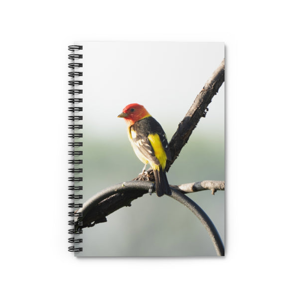 Western Tanager - Spiral Notebook