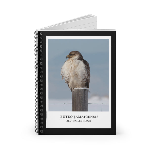 Scientific Name Style - Red-Tailed Hawk - Spiral Notebook