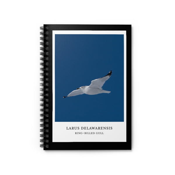 Scientific Name Style - Ring-Billed Gull - Spiral Notebook