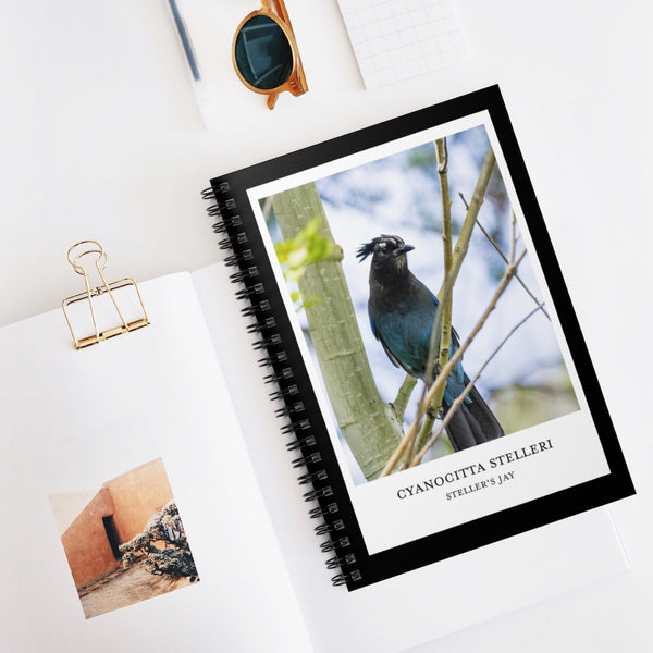 Scientific Name Style - Steller's Jay - Spiral Notebook