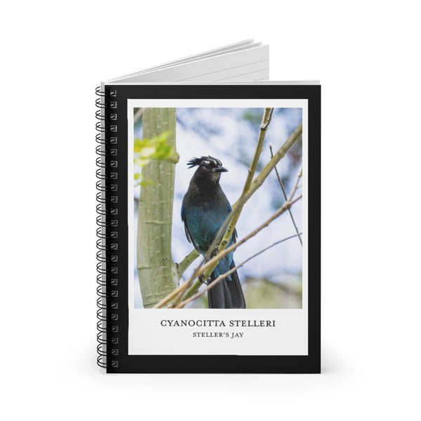 Scientific Name Style - Steller's Jay - Spiral Notebook
