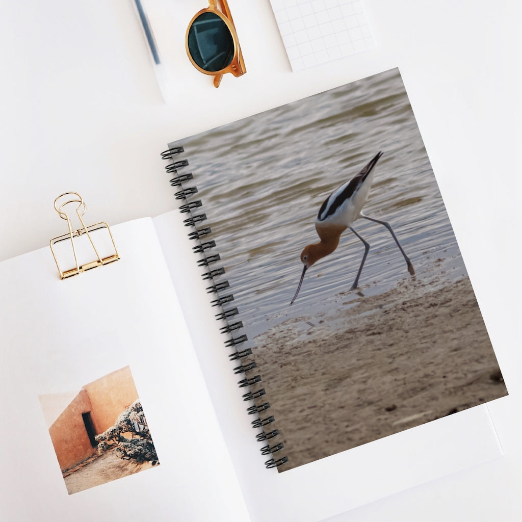 Avocet on the Front of a Spiral Notebook