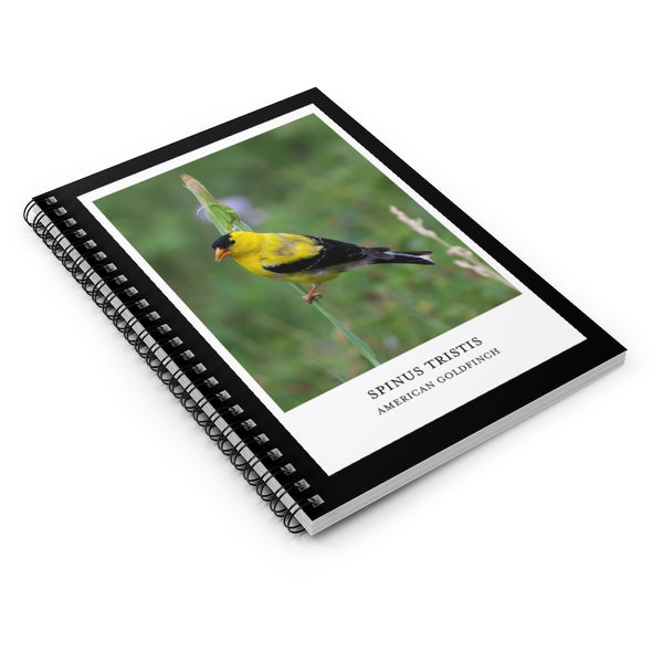 Scientific Name Style - Goldfinch - Spiral Notebook
