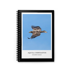 Scientific Name Style - Golden Eagle - Spiral Notebook