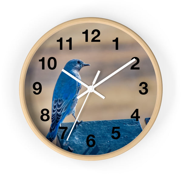 Mountain Bluebird Wall clock