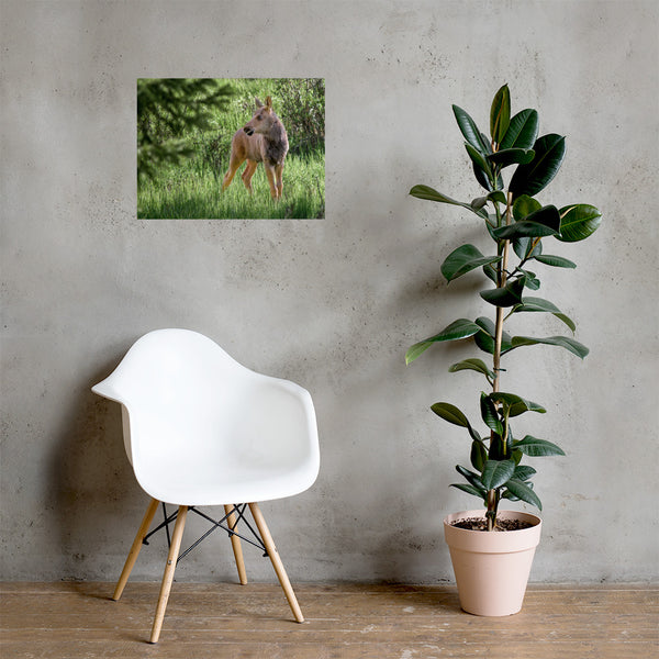 Baby Moose in the Glade Poster