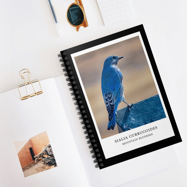 Scientific Name Style - Mountain Bluebird - Spiral Notebook