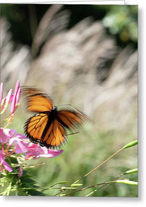Fast Butterfly - Greeting Card