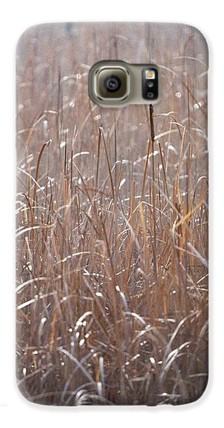 Grassy Field I - Phone Case