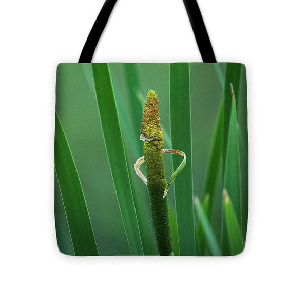 Little Guy in the Cattails - Tote Bag