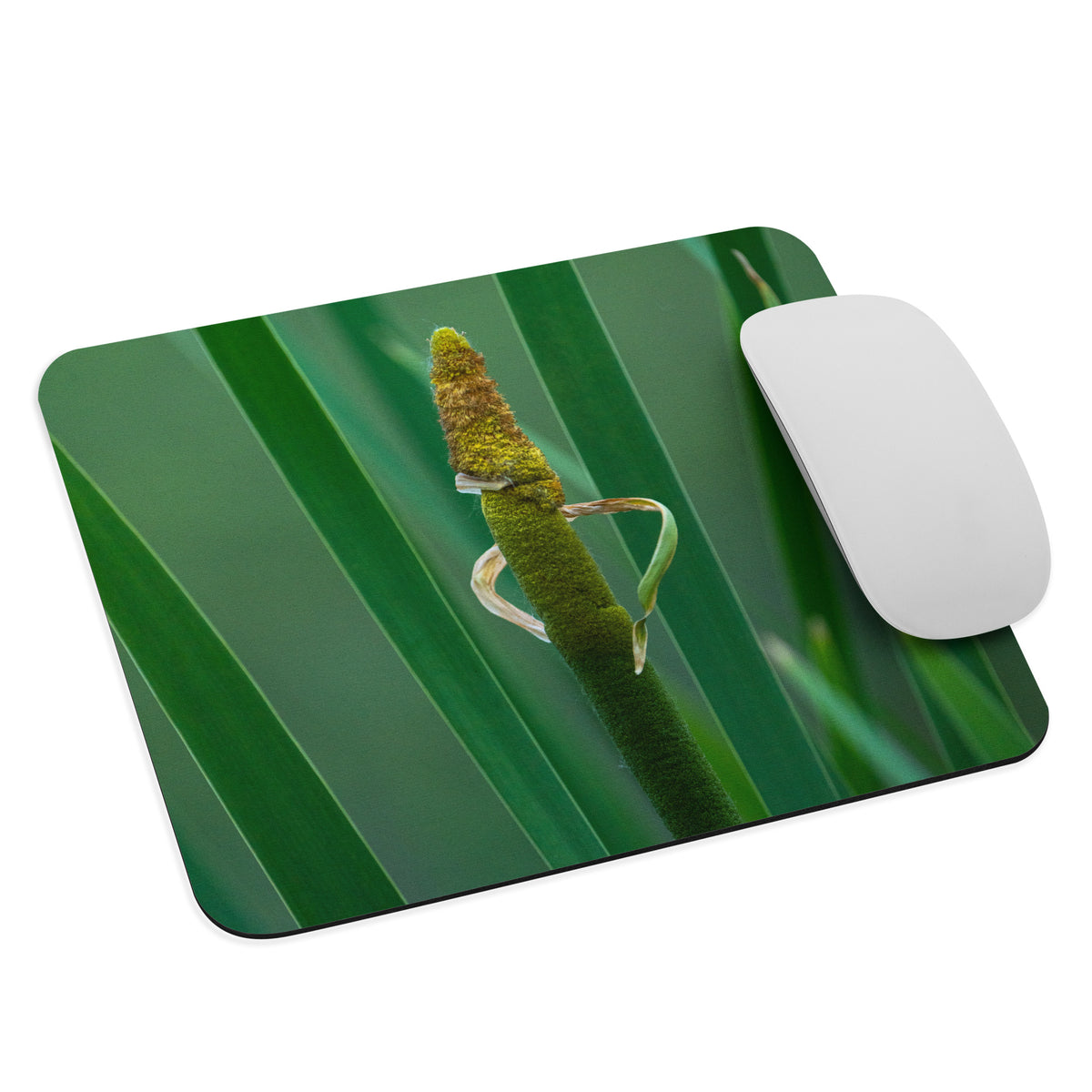 Little Green Man in the Cattails Mouse pad – DenverCool