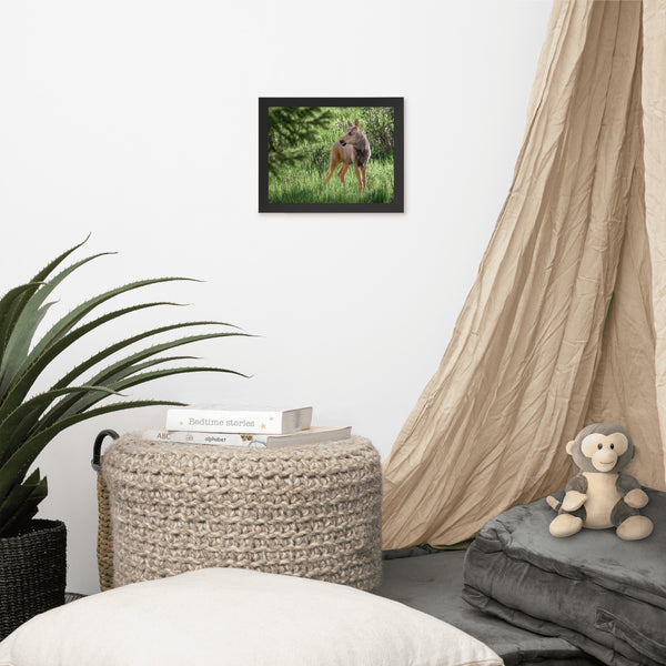 Baby Moose in the Glade Framed Photograph