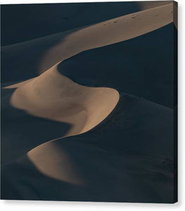 Sinuous Dunes in the Evening - Canvas Print