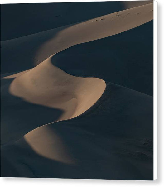 Sinuous Dunes in the Evening - Canvas Print