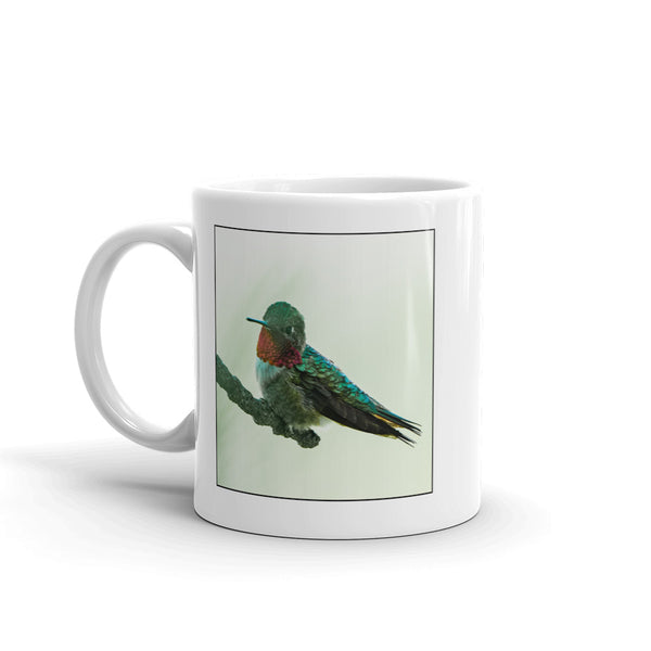 Scientific Name Style Mug - Broad-Tailed Hummingbird
