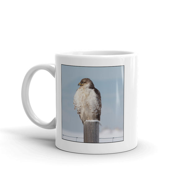 Scientific Name Style Mug - Mountain Bluebird