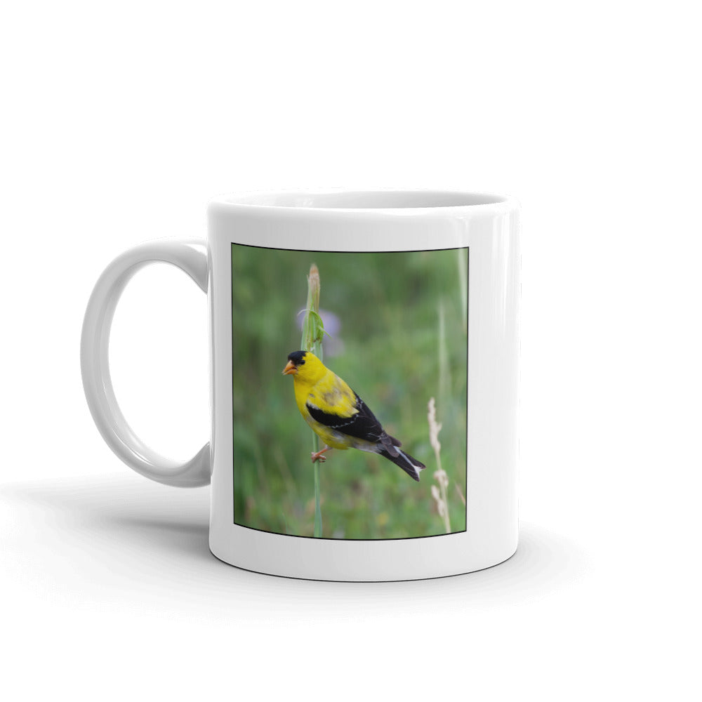 Scientific Name Style Mug - American Goldfinch