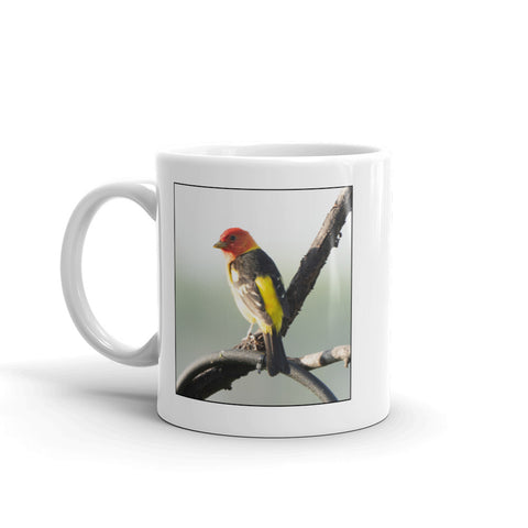 Scientific Name Style Mug - Western Tanager