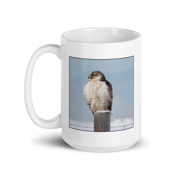 Scientific Name Style Mug - Mountain Bluebird