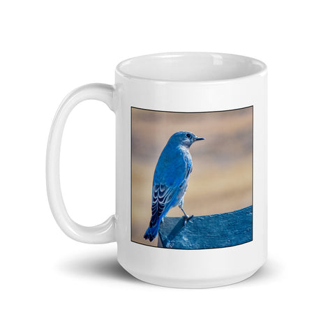 Scientific Name Style - Mountain Bluebird